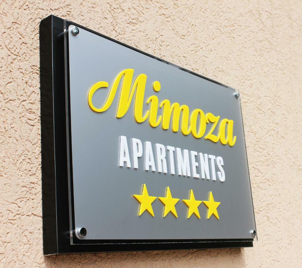 Mimoza Apartments Ðenovići 外观 照片
